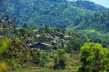 güzel dağ manzarası Tayland