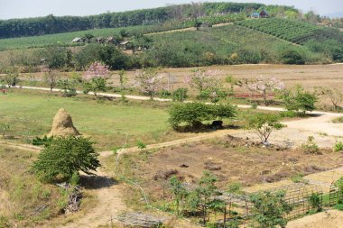Gündüz maountains Alanları