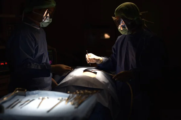 Team surgeon at work in operating room. Surgical light in the operating room. Preparation for the beginning of surgical operation with a cut. The surgeon is performing surgery on the patient.