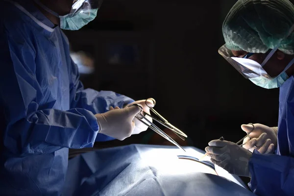 Chirurg Zespołowy Sali Operacyjnej Światło Chirurgiczne Sali Operacyjnej Przygotowanie Rozpoczęcia — Zdjęcie stockowe