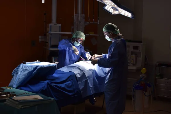 Medical Team Performing Surgical Operation in Modern Operating Room. Equipment and medical devices in hybrid operating room.scrub nurse preparing medical instruments for operation.