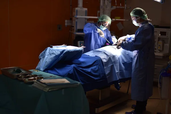 Medical Team Performing Surgical Operation in Modern Operating Room. Equipment and medical devices in hybrid operating room.scrub nurse preparing medical instruments for operation.