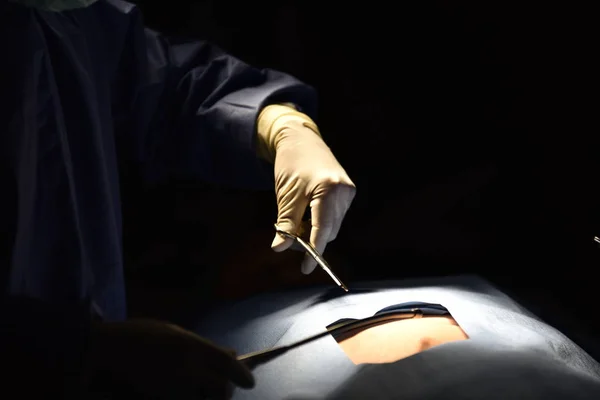 Командний Хірург Роботі Операційній Хірургічне Світло Операційній Підготовка Початку Хірургічної — стокове фото