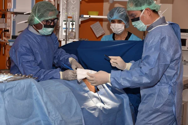 Team surgeon at work in operating room. Surgical light in the operating room. Preparation for the beginning of surgical operation with a cut. The surgeon is performing surgery on the patient.