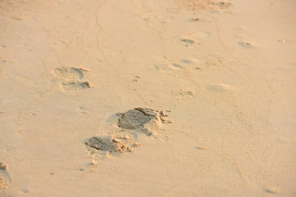 Pegadas Areia Textura Praia — Fotografia de Stock