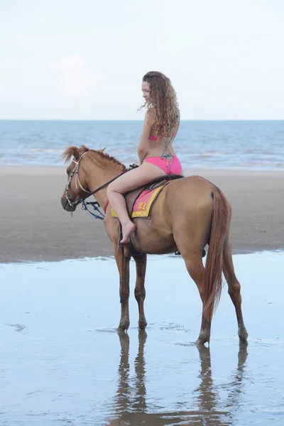 Belles Femmes Chevaux Marchent Plage Soir Beau Modèle Sous Maillot — Photo