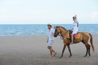 Çiftler ve atları akşam gün batımına plajda yürüyor.