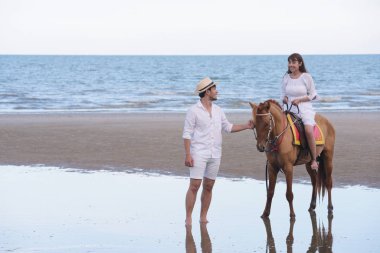 Çiftler ve atları akşam gün batımına plajda yürüyor.