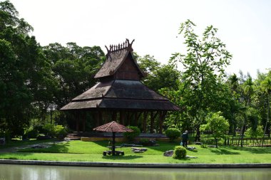 Bahar Balosu Bahçesi. Renkli çiçeklerden oluşan güzel bir bahçe. Bahçe düzenlemeleri. Park et. Güzel Bahçe.