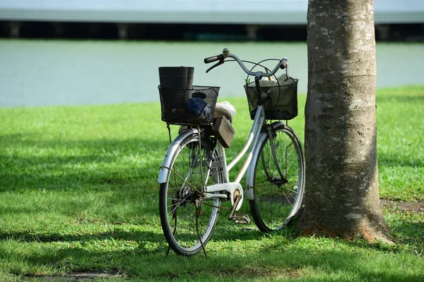 Soyut ışık ve bokeh arka plan için renkli çiçeklerle. Bahar resmi bahçe. Renkli çiçek güzel bahçe.