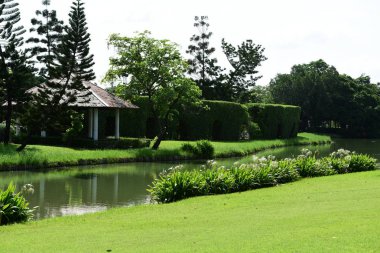 Güzel Bahçe çiçekleri. Renkli cosmos çiçeklerle soyut ışık ve bokeh arka plan için. Bahar resmi bahçe. Renkli çiçek güzel bir bahçe. Resmi bahçe. Park. Güzel bahçe.