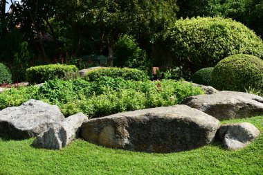 Güzel Bahçe çiçekleri. Renkli cosmos çiçeklerle soyut ışık ve bokeh arka plan için. Bahar resmi bahçe. Renkli çiçek güzel bir bahçe. Resmi bahçe. Park. Güzel bahçe.