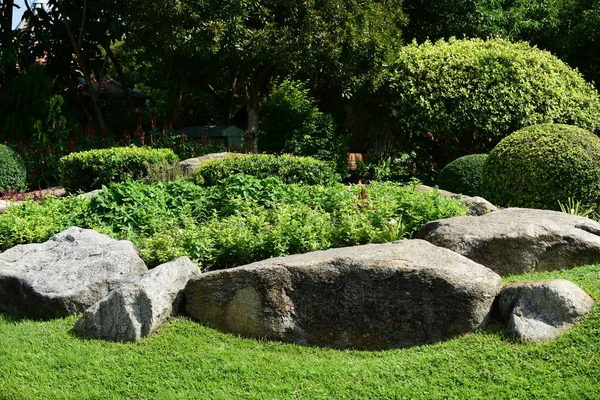 Güzel Bahçe çiçekleri. Renkli cosmos çiçeklerle soyut ışık ve bokeh arka plan için. Bahar resmi bahçe. Renkli çiçek güzel bir bahçe. Resmi bahçe. Park. Güzel bahçe.