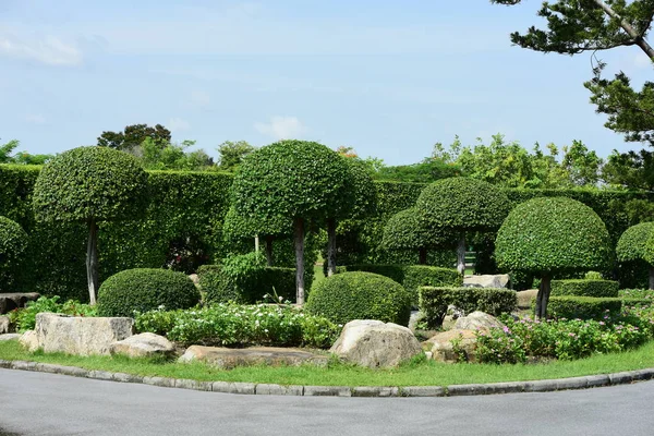 Soyut ışık ve bokeh arka plan için renkli çiçeklerle. Bahar resmi bahçe. Renkli çiçek güzel bir bahçe. Resmi bahçe. Park. Güzel bahçe.