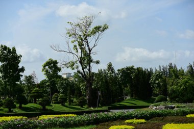 Bahar Balosu Bahçesi. Renkli çiçeklerden oluşan güzel bir bahçe. Bahçe düzenlemeleri. Park et. Güzel Bahçe.