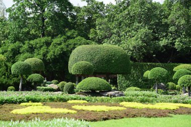 Bahar Balosu Bahçesi. Renkli çiçeklerden oluşan güzel bir bahçe. Bahçe düzenlemeleri. Park et. Güzel Bahçe.