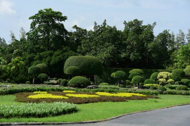 Bahar Balosu Bahçesi. Renkli çiçeklerden oluşan güzel bir bahçe. Bahçe düzenlemeleri. Park et. Güzel Bahçe.