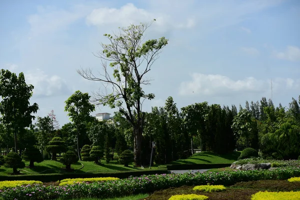 Bahar Balosu Bahçesi. Renkli çiçeklerden oluşan güzel bir bahçe. Bahçe düzenlemeleri. Park et. Güzel Bahçe.
