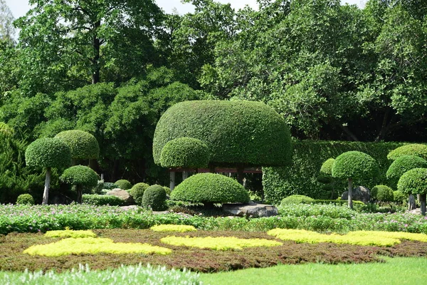 Bahar Balosu Bahçesi. Renkli çiçeklerden oluşan güzel bir bahçe. Bahçe düzenlemeleri. Park et. Güzel Bahçe.