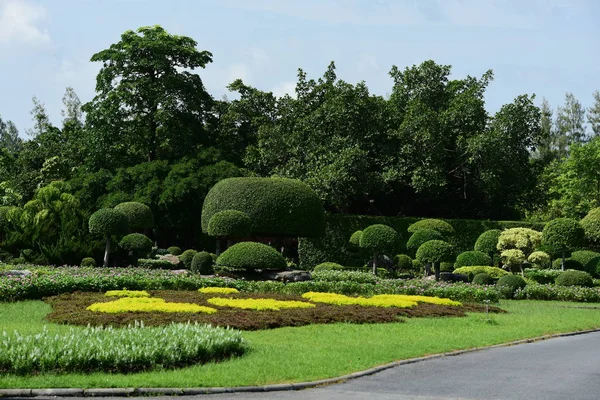 Bahar Balosu Bahçesi. Renkli çiçeklerden oluşan güzel bir bahçe. Bahçe düzenlemeleri. Park et. Güzel Bahçe.