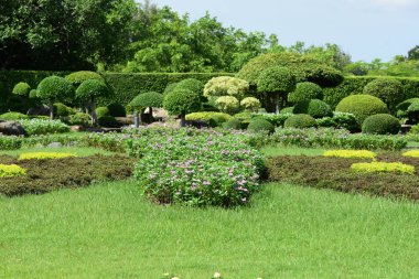 Bahar Balosu Bahçesi. Renkli çiçeklerden oluşan güzel bir bahçe. Bahçe düzenlemeleri. Park et. Güzel Bahçe.