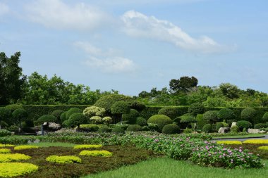 Bahar Balosu Bahçesi. Renkli çiçeklerden oluşan güzel bir bahçe. Bahçe düzenlemeleri. Park et. Güzel Bahçe.