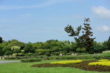 Bahar Balosu Bahçesi. Renkli çiçeklerden oluşan güzel bir bahçe. Bahçe düzenlemeleri. Park et. Güzel Bahçe.