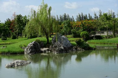Bahar Balosu Bahçesi. Renkli çiçeklerden oluşan güzel bir bahçe. Bahçe düzenlemeleri. Park et. Güzel Bahçe.