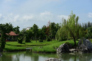 Bahar Balosu Bahçesi. Renkli çiçeklerden oluşan güzel bir bahçe. Bahçe düzenlemeleri. Park et. Güzel Bahçe.