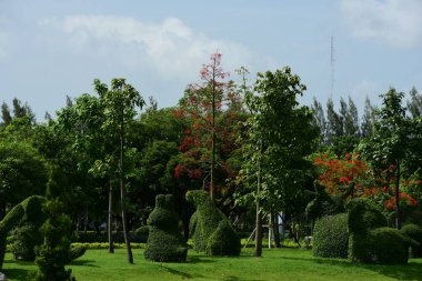 Bahar Balosu Bahçesi. Renkli çiçeklerden oluşan güzel bir bahçe. Bahçe düzenlemeleri. Park et. Güzel Bahçe.