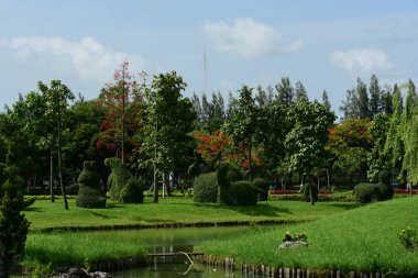 Bahar Balosu Bahçesi. Renkli çiçeklerden oluşan güzel bir bahçe. Bahçe düzenlemeleri. Park et. Güzel Bahçe.