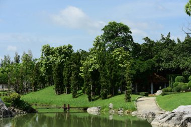 Bahar Balosu Bahçesi. Renkli çiçeklerden oluşan güzel bir bahçe. Bahçe düzenlemeleri. Park et. Güzel Bahçe.