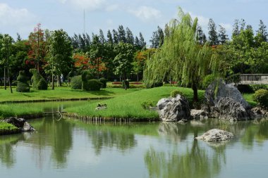 Bahar Balosu Bahçesi. Renkli çiçeklerden oluşan güzel bir bahçe. Bahçe düzenlemeleri. Park et. Güzel Bahçe.