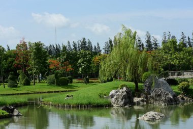 Bahar Balosu Bahçesi. Renkli çiçeklerden oluşan güzel bir bahçe. Bahçe düzenlemeleri. Park et. Güzel Bahçe.