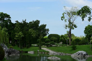 Bahar Balosu Bahçesi. Renkli çiçeklerden oluşan güzel bir bahçe. Bahçe düzenlemeleri. Park et. Güzel Bahçe.