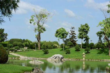 Bahar Balosu Bahçesi. Renkli çiçeklerden oluşan güzel bir bahçe. Bahçe düzenlemeleri. Park et. Güzel Bahçe.