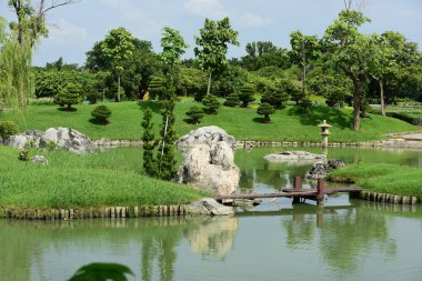 Bahar Balosu Bahçesi. Renkli çiçeklerden oluşan güzel bir bahçe. Bahçe düzenlemeleri. Park et. Güzel Bahçe.