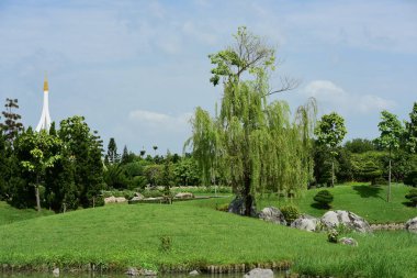 Bahar Balosu Bahçesi. Renkli çiçeklerden oluşan güzel bir bahçe. Bahçe düzenlemeleri. Park et. Güzel Bahçe.