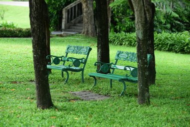 Bahar Balosu Bahçesi. Renkli çiçeklerden oluşan güzel bir bahçe. Bahçe düzenlemeleri. Park et. Güzel Bahçe.