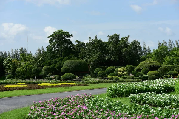 Bahar Balosu Bahçesi. Renkli çiçeklerden oluşan güzel bir bahçe. Bahçe düzenlemeleri. Park et. Güzel Bahçe.
