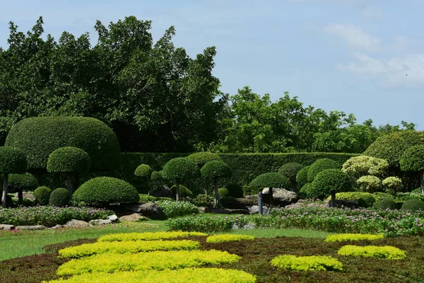 Bahar Balosu Bahçesi. Renkli çiçeklerden oluşan güzel bir bahçe. Bahçe düzenlemeleri. Park et. Güzel Bahçe.