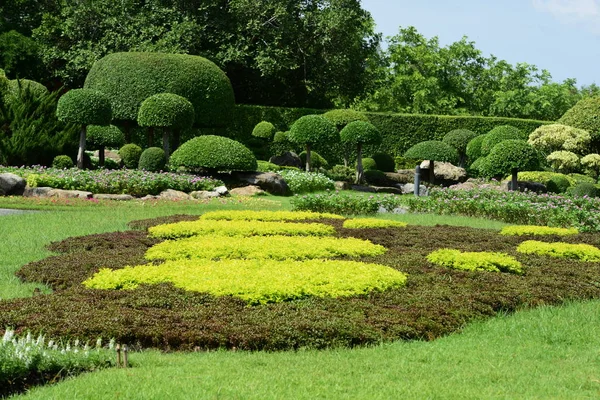 Bahar Balosu Bahçesi. Renkli çiçeklerden oluşan güzel bir bahçe. Bahçe düzenlemeleri. Park et. Güzel Bahçe.