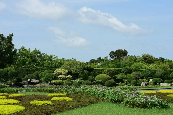 Bahar Balosu Bahçesi. Renkli çiçeklerden oluşan güzel bir bahçe. Bahçe düzenlemeleri. Park et. Güzel Bahçe.