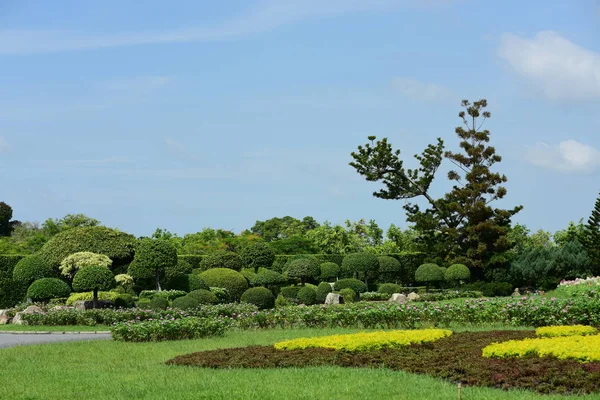 Bahar Balosu Bahçesi. Renkli çiçeklerden oluşan güzel bir bahçe. Bahçe düzenlemeleri. Park et. Güzel Bahçe.