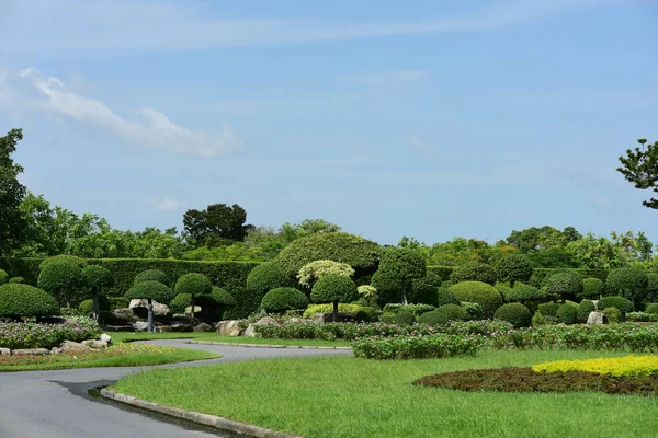 Bahar Balosu Bahçesi. Renkli çiçeklerden oluşan güzel bir bahçe. Bahçe düzenlemeleri. Park et. Güzel Bahçe.