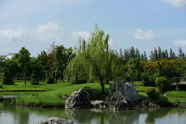 Bahar Balosu Bahçesi. Renkli çiçeklerden oluşan güzel bir bahçe. Bahçe düzenlemeleri. Park et. Güzel Bahçe.