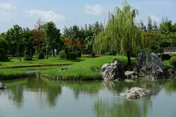 Bahar Balosu Bahçesi. Renkli çiçeklerden oluşan güzel bir bahçe. Bahçe düzenlemeleri. Park et. Güzel Bahçe.