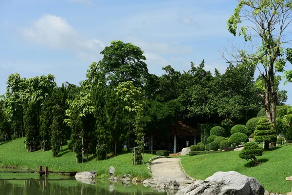 Bahar Balosu Bahçesi. Renkli çiçeklerden oluşan güzel bir bahçe. Bahçe düzenlemeleri. Park et. Güzel Bahçe.