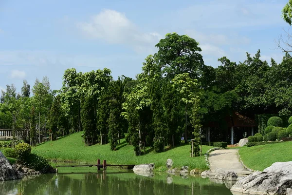 Bahar Balosu Bahçesi. Renkli çiçeklerden oluşan güzel bir bahçe. Bahçe düzenlemeleri. Park et. Güzel Bahçe.