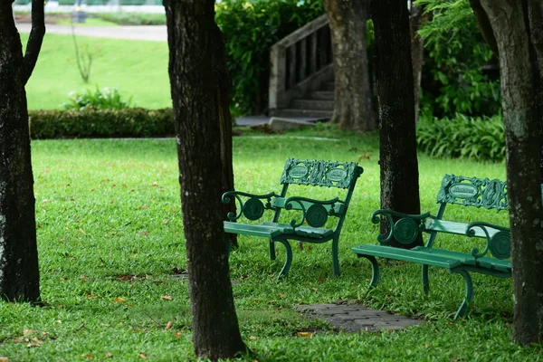 Bahar Balosu Bahçesi. Renkli çiçeklerden oluşan güzel bir bahçe. Bahçe düzenlemeleri. Park et. Güzel Bahçe.